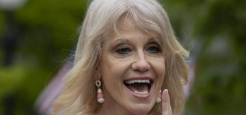 Kellyanne Conway: If you can wait in line for cupcakes, you can wait in line to vote