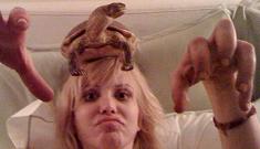Courtney Love posts Twitter pictures with a tortoise on her head