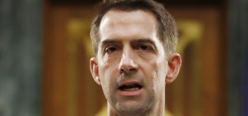 Sen. Tom Cotton: Slavery ‘was the necessary evil upon which the union was built’