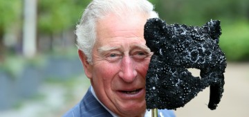FF: Prince Harry wanted to ‘do more work’ but Prince Charles wouldn’t support it