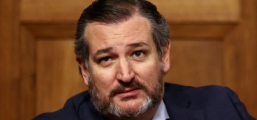 Ted Cruz & 11 Republican senators plan to hijack the Jan. 6th election certification