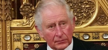 Prince Charles suffered ‘a major blow to his reputation’ with the Sussex interview