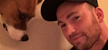 Chris Evans’ dog, Dodger, had his second hip replacement