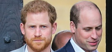 Prince William & Harry’s greatest hope for reconciliation is ‘in the memory of Diana’