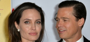 Angelina Jolie wants to sell her share of the Chateau Miraval wine business