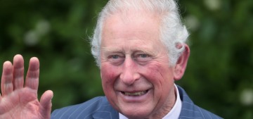 Prince Charles is ‘irritated’ by the Wessexes’ strategic & obvious PR campaign