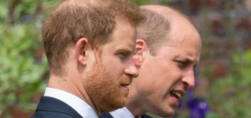 Prince Harry & William won’t spend ‘family time’ together over the holidays