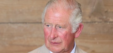 Prince Charles & the courtiers fear Harry’s memoir will destabilize the monarchy