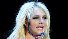 Britney Spears completes US tour with barely a hitch