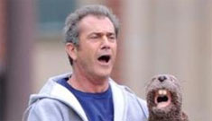 Mel Gibson wants his drunken anti-Semitic DUI record expunged