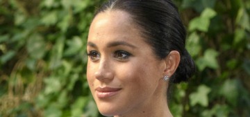 Scobie: The Sussexes ‘were quite afraid of the consequences of stepping away’