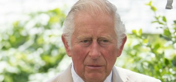 Prince Charles’ op-ed about climate change was published exclusively by the Mail