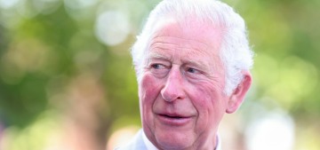How much did Prince Charles know about all of these cash-for-access schemes?