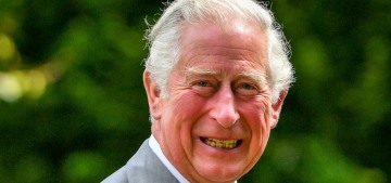 Prince Charles involved in a cash-for-access scheme with a shady Russian