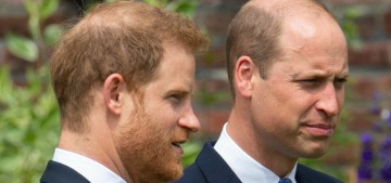 Prince Harry & William to reunite for the Diana Awards in December?