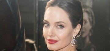 Angelina Jolie sold her half of Miraval to a subsidiary of the Stoli Group