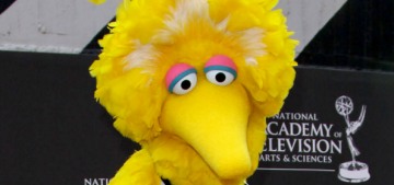 Big Bird got the Covid vaccine, much to the ire of Ted Cruz & various right-wingers