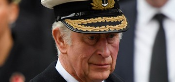 Prince Charles left for Jordan this morning, where are the counsellors of state?