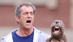Mel Gibson gets DUI expunged from the public record – as if