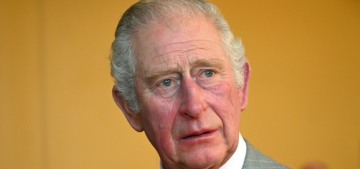 Prince Charles is ‘distraught’ that Harry threw him under the cash-for-access bus