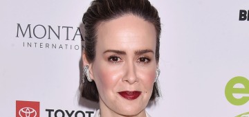 Sarah Paulson: ‘It is so hurtful & wrong’ to criticize my Linda Tripp casting