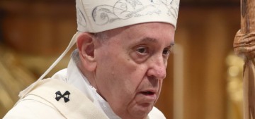Pope Francis: It’s ‘selfish’ for people to raise animals and not children