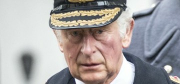 Prince Charles & William are trying to take credit for pushing out Prince Andrew