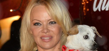 The ‘Pam & Tommy’ series ‘has been very painful for Pamela Anderson’