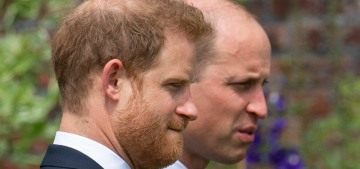Did Prince Harry & William organize a Zoom call for their kids to meet/talk?  Eh.