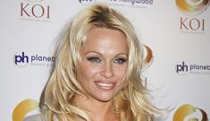 Pam Anderson to serve vegetarian Thanksgiving meal for the homeless