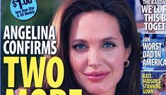 Life & Style: Angelina Jolie “confirms” 2 more babies on the way