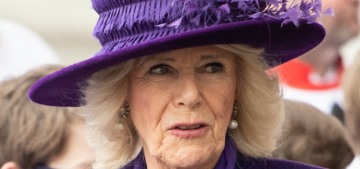 Duchess Camilla skipped the meeting with Commonwealth youth leaders
