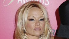 Pamela Anderson’s 9-year-old train-carrier wasn’t “abused”