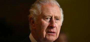 Prince Charles worries that Netflix has done lasting damage to his reputation
