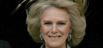 Camilla Parker Bowles ‘had to be coaxed out of bed’ on her 2005 wedding day
