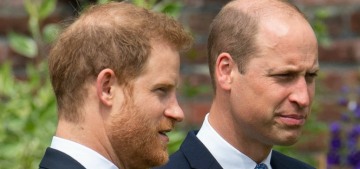 Nicholl: Prince Harry suggested that he & William should get a mediator