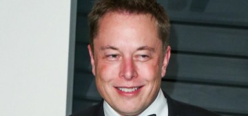 Elon Musk puts his Twitter purchase on hold until he learns more about bot accounts