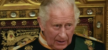 Queen Elizabeth ‘planned’ Prince Charles’s appearance at Parliament