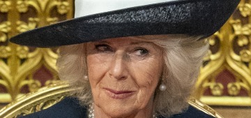 Duchess Camilla: ‘In the end, I sort of rise above it and get on with it’