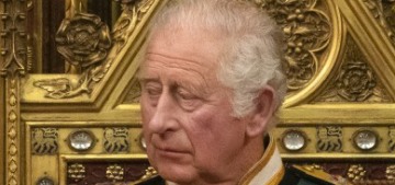 Prince Charles is panicking about the Commonwealth but William DGAF