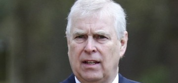 Prince Andrew ‘will be financially secure’ simply because the royals fear he’ll talk
