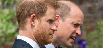 Wharfe: Prince Harry will return to the royal fold & continue his mom’s legacy?