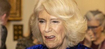 Duchess Camilla ‘didn’t have a career before’ marrying Charles, ‘she wasn’t interested’