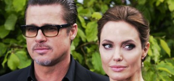 Angelina Jolie told the FBI in 2016 that Brad Pitt physically assaulted her