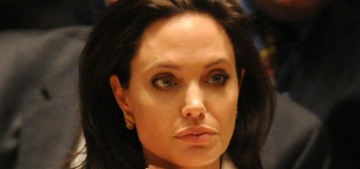 Rolling Stone has even more details about the 2016 Jolie-Pitt plane assault