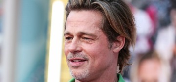 ‘A source close to Brad Pitt’ insists the FBI will not reopen their investigation…?