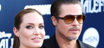 Brad Pitt’s ‘sources’: Angelina Jolie is mad because ‘the public adores Brad’