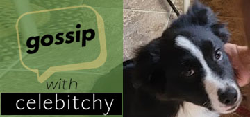 ‘Gossip with Celebitchy’ podcast #132: Whether to get a kitten or a puppy first