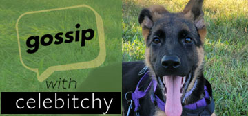 ‘Gossip with Celebitchy’ podcast #134: my new puppy is four months old
