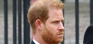 The more Prince Harry’s family tries to snub him, the more regal he looks